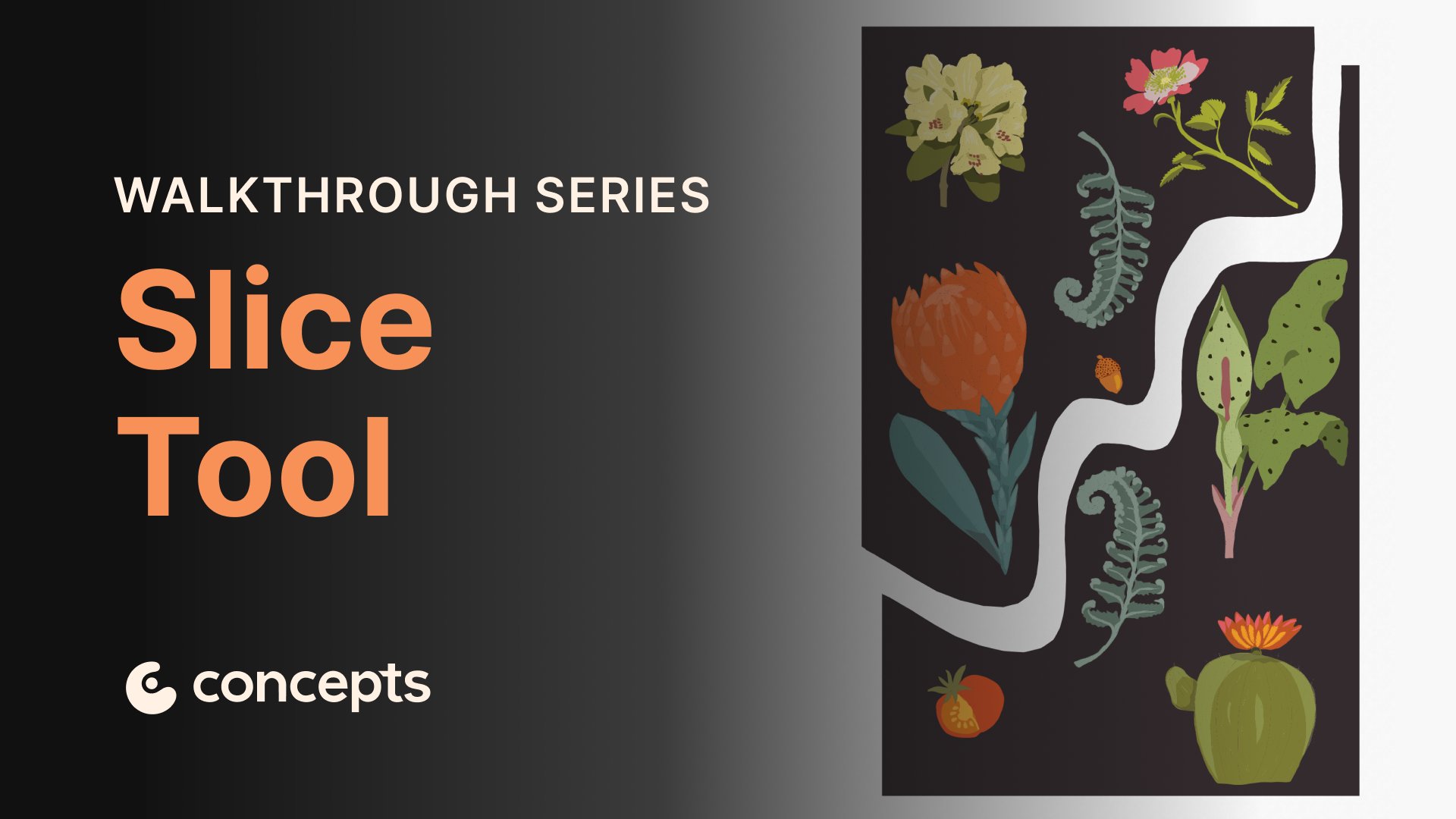 Concepts Walkthrough Tutorial video covering the Slice tool and vector editing.