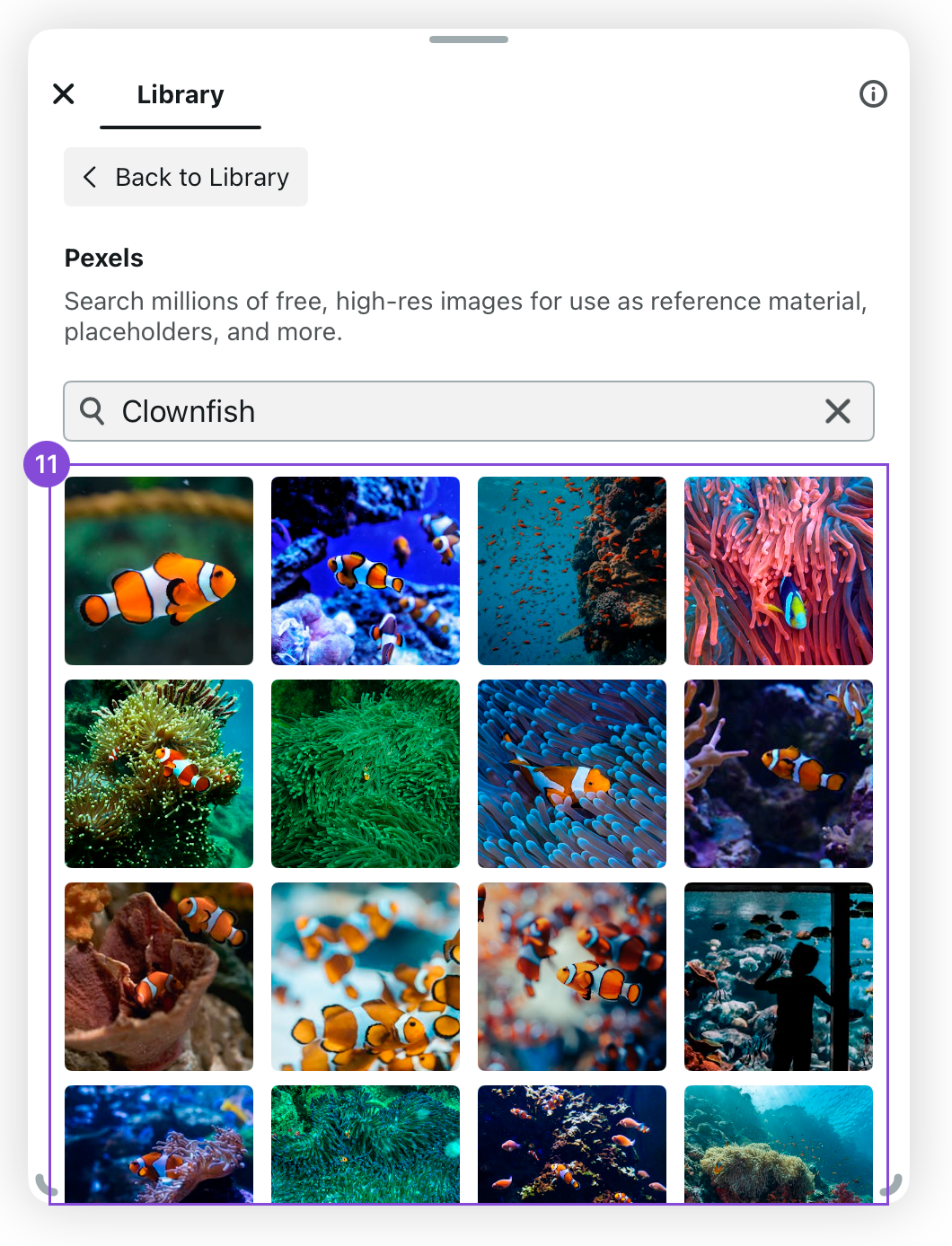 Pexels search results