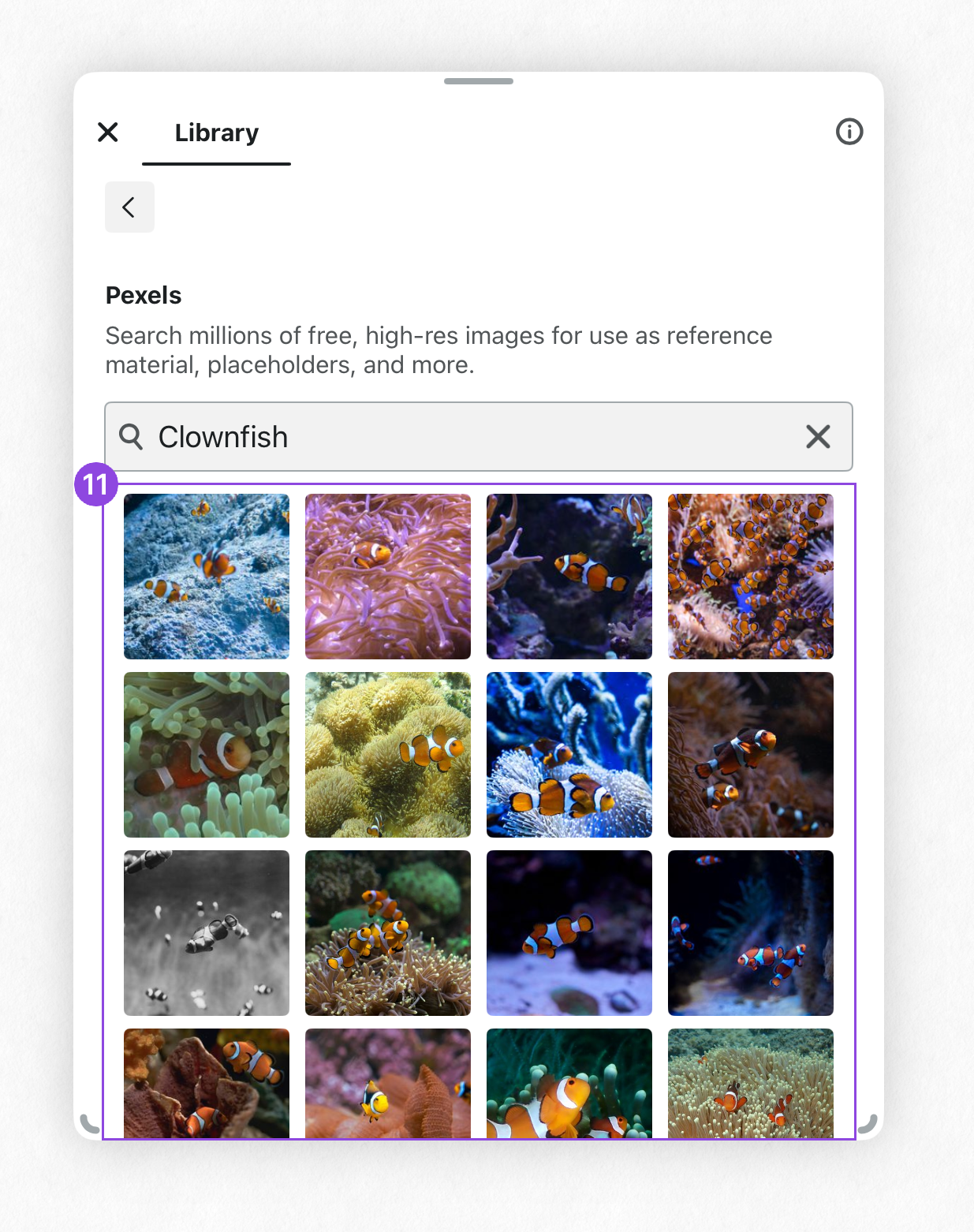 Pexels search results