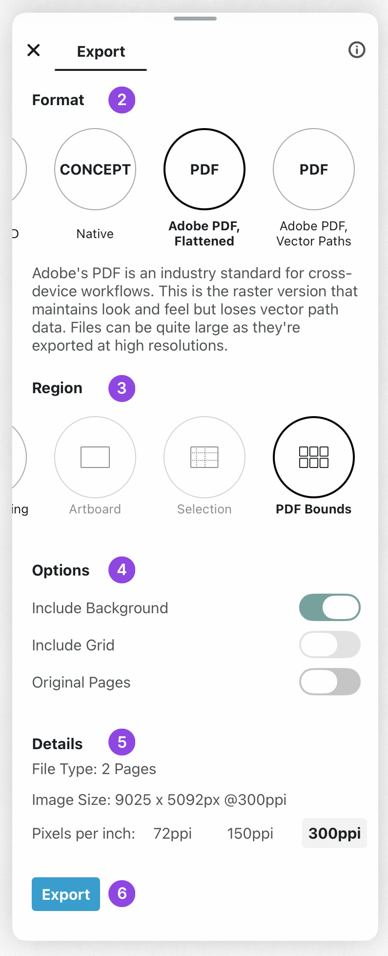Export options dialog showing Format, Region, Options and Output Details sections with numbered callouts for each setting