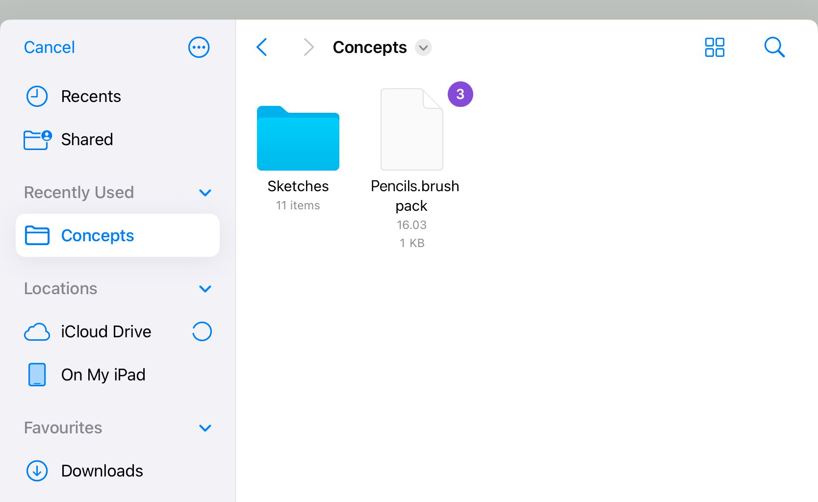 Locating brush pack file