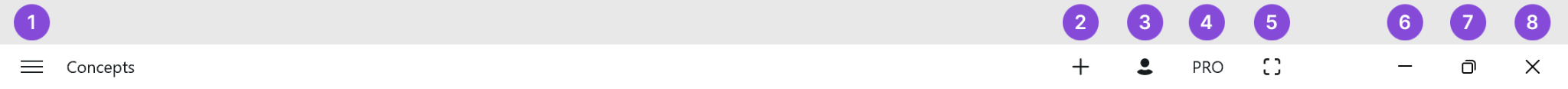 Concepts Title Bar on Windows