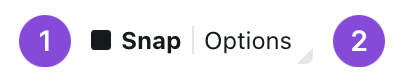 Precision panel Snap row with numbered callouts on the checkbox and Options link