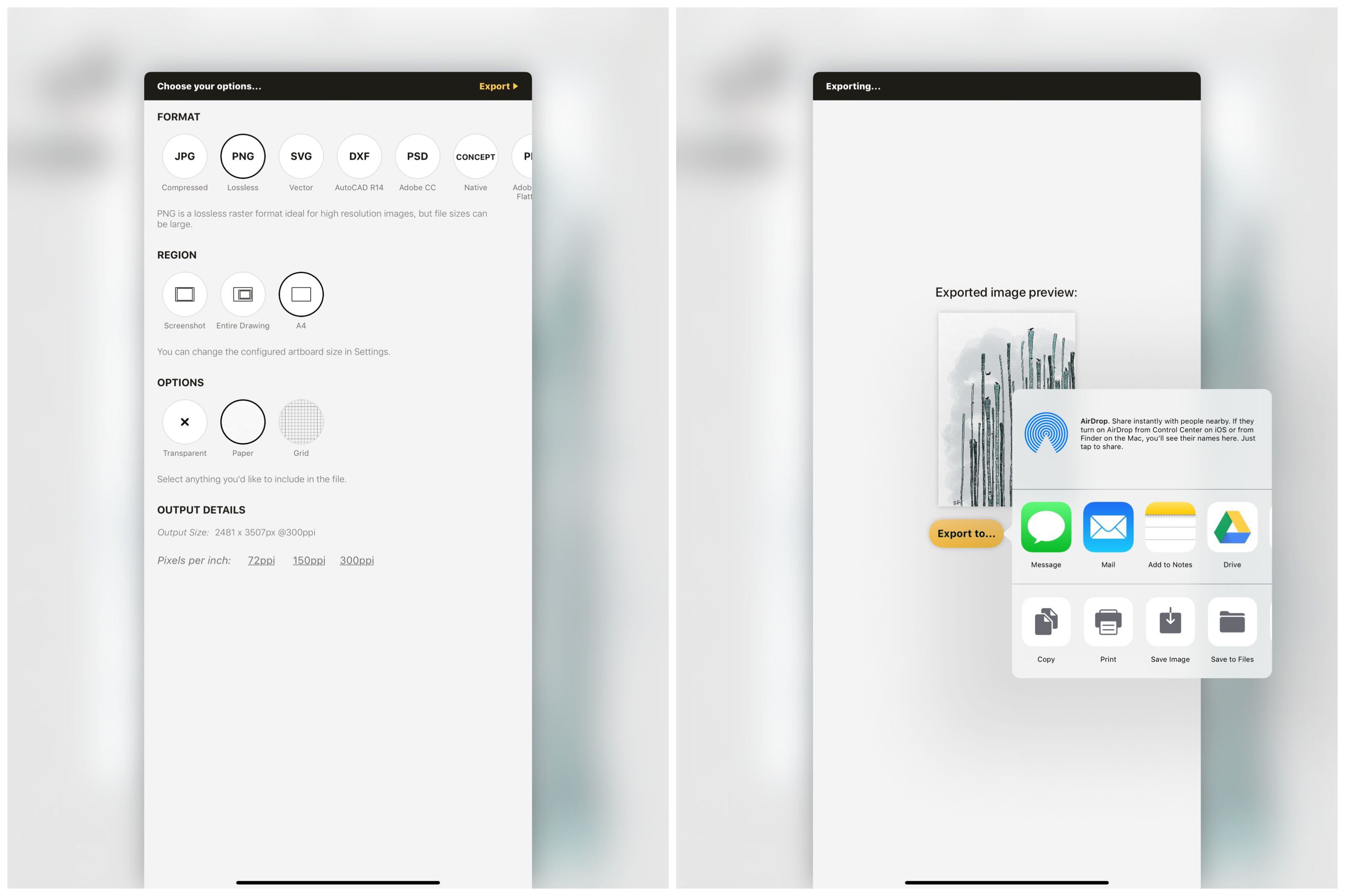Working with Your Infinite Canvas • Concepts App • Infinite, Flexible