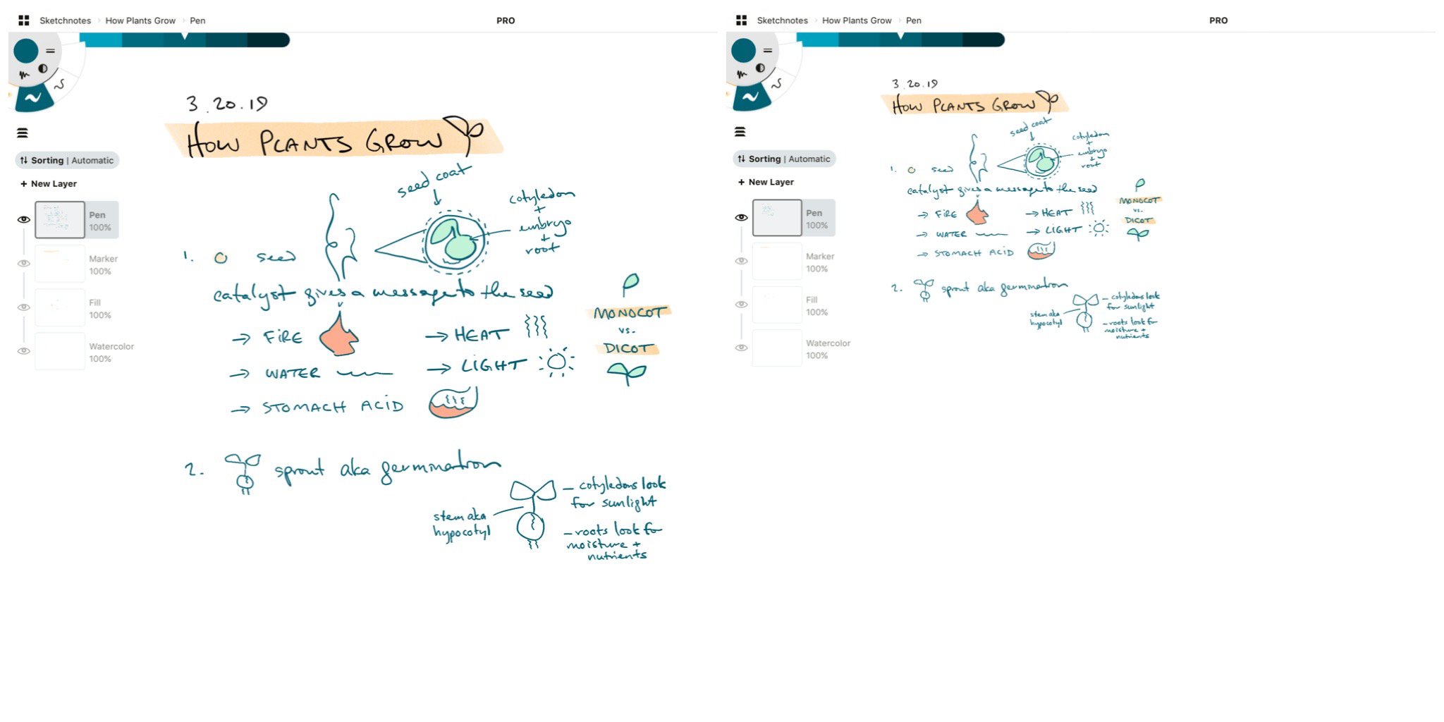 Creating an Urban Sketch Journal • Concepts App • Infinite, Flexible  Sketching