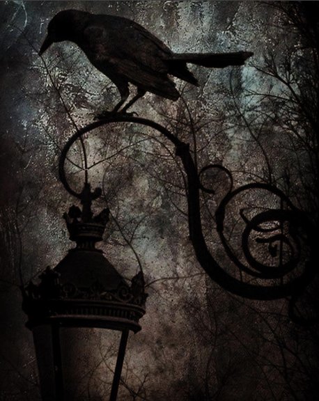 Creativity Is Transformative Concepts App Infinite Flexible Sketching