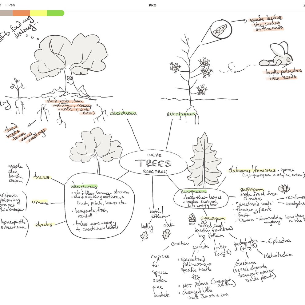 Working with Your Infinite Canvas • Concepts App • Infinite, Flexible