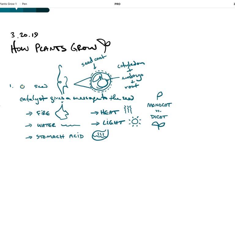How to Use Layers to Take Notes, Illustrate and Design • Concepts App ...