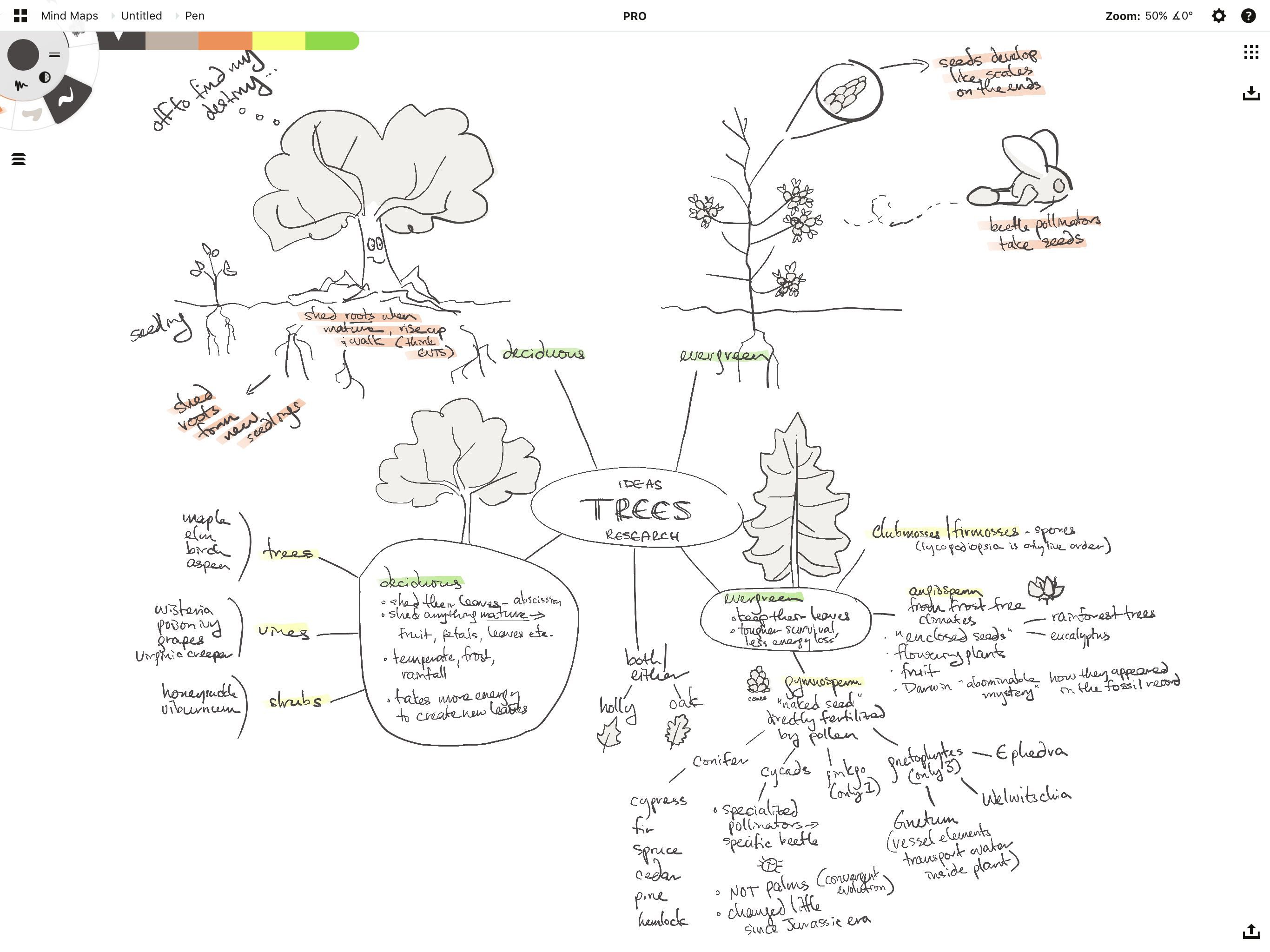 Working with Your Infinite Canvas • Concepts App • Infinite, Flexible  Sketching