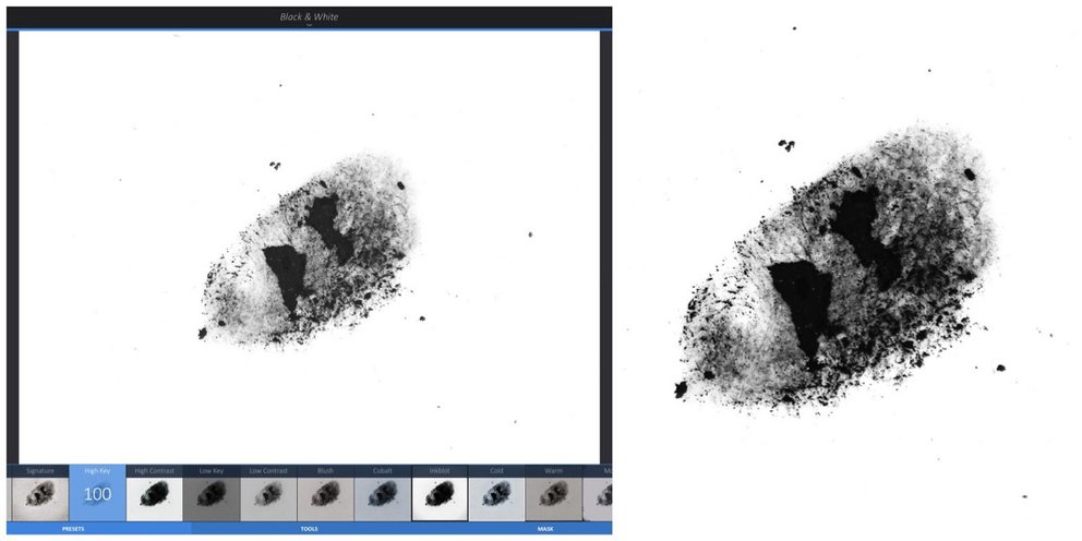 How to Make a Custom Brush Stamp and Grain • Concepts App • Infinite ...